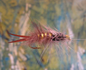 Click for larger image