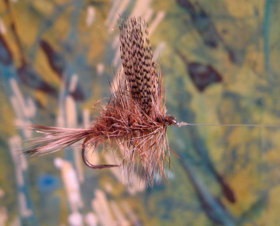 Enlarged view of image