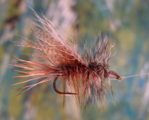 Click for larger image