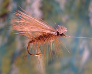 Click for larger image