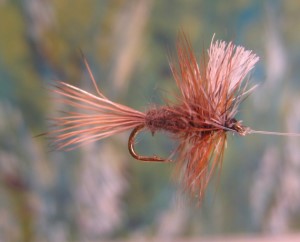 Click for larger image